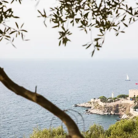 ホテル Neopol クシャダス