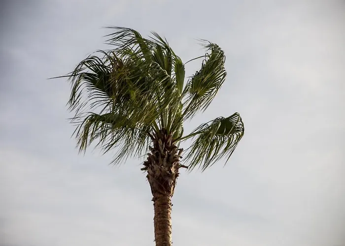 Отель Neopol 3*